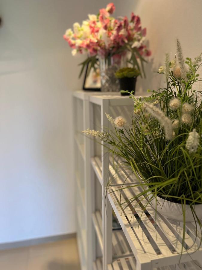 Rose No 4 Apartment ฟรีดริชส์ฮาเฟน ภายนอก รูปภาพ