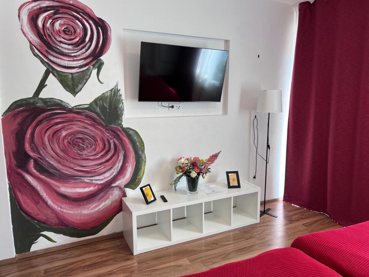 Rose No 4 Apartment ฟรีดริชส์ฮาเฟน ภายนอก รูปภาพ